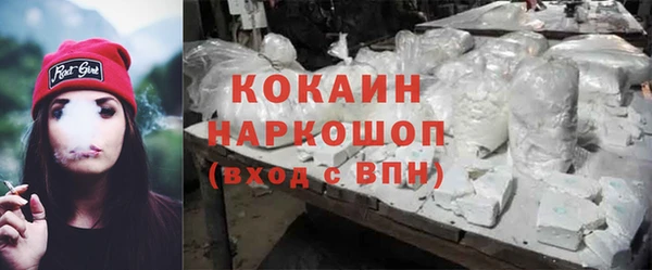 индика Алексин