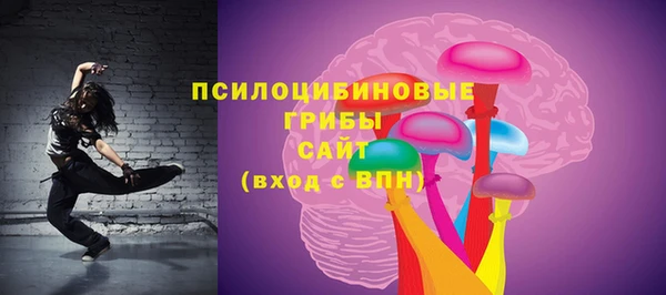 тгк Абинск
