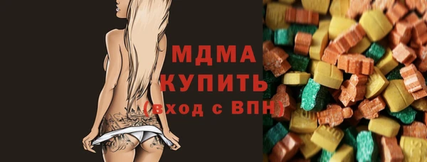 индика Алексин