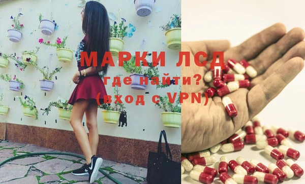 индика Алексин