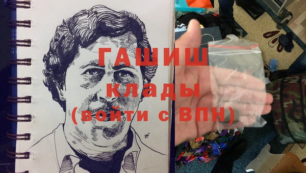 индика Алексин