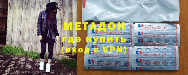 индика Алексин